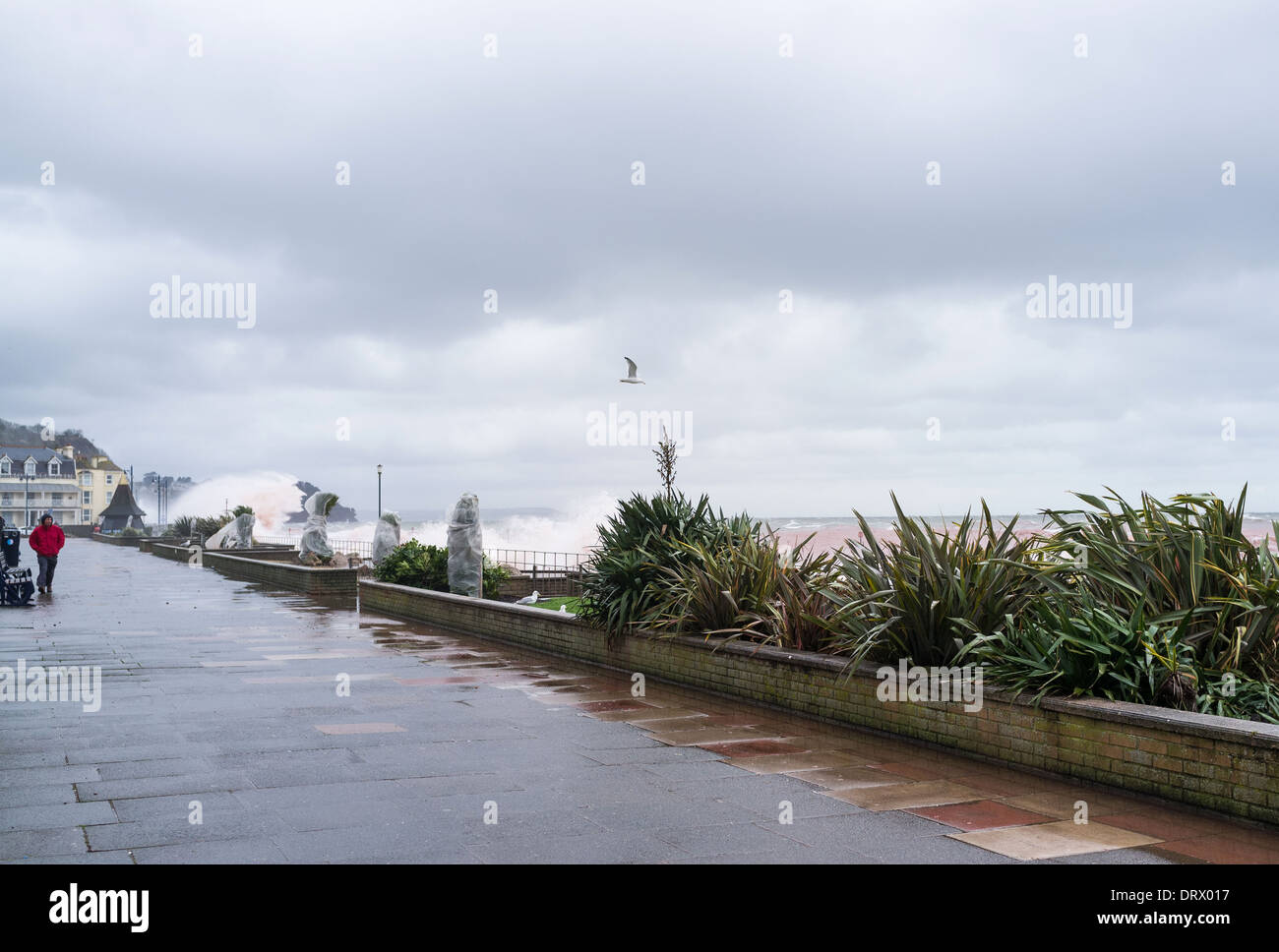 Teignmouth, Devon, Inghilterra. Febbraio 2014. Grandi onde ha colpito la costa e il mare a Teignmouth durante le recenti tempeste. Foto Stock