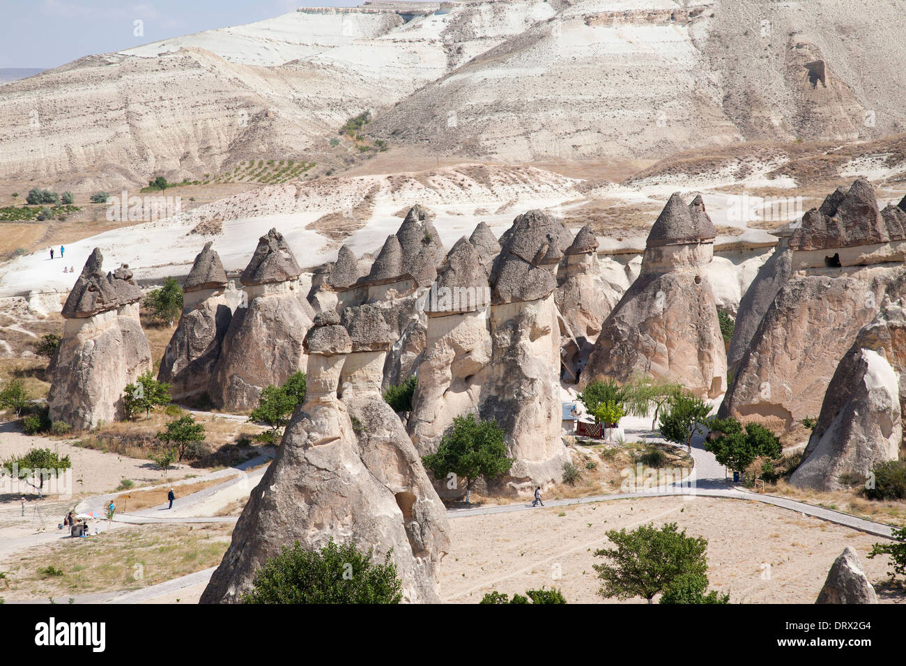 Formazioni geologiche, area di zelve, paesaggio, Cappadocia, Anatolia, Turchia, Asia Foto Stock