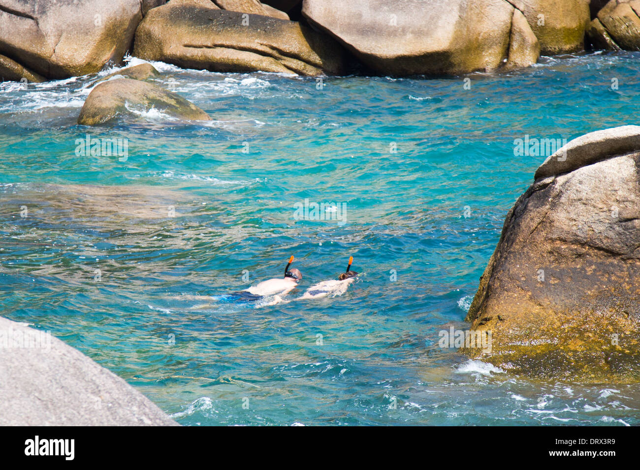 Turista giovane snorkeling in Ao Hin Wong, (Hin Wong Bay), Ko Tao Island, Thailandia Foto Stock