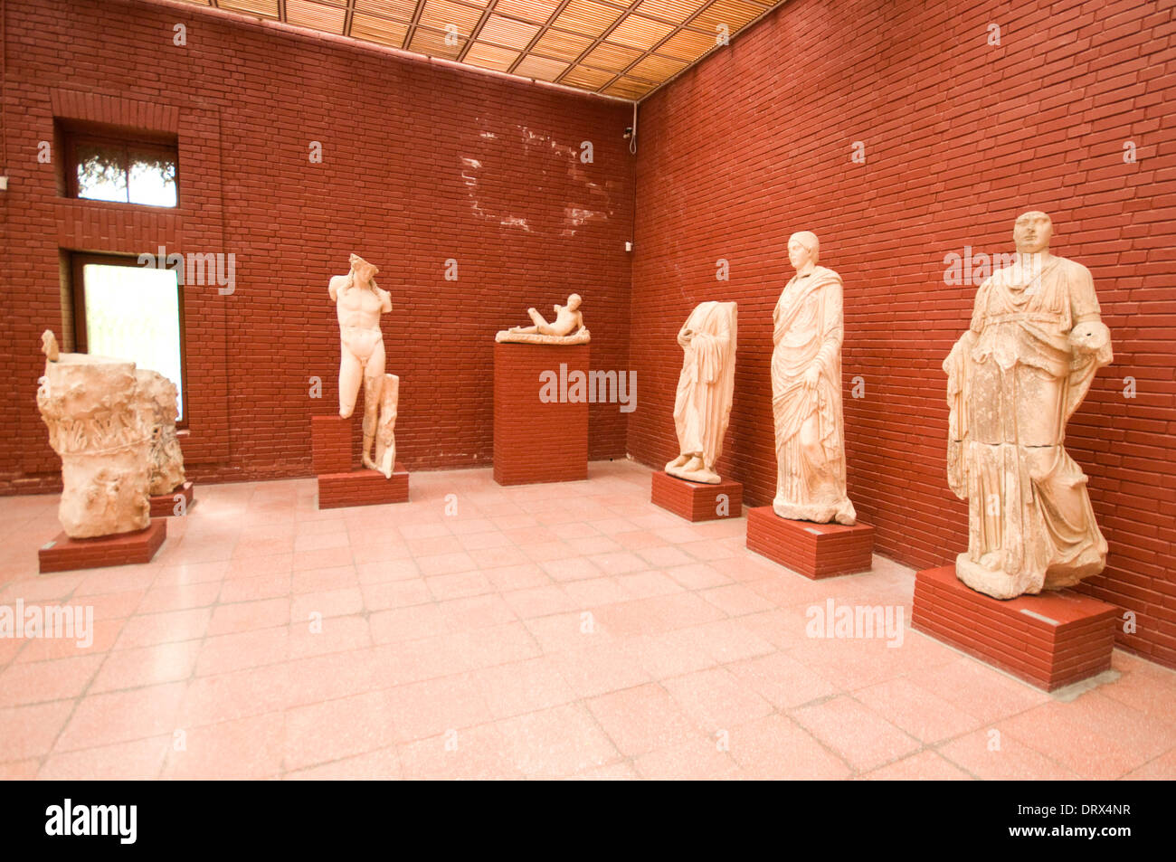 L'ASIA, la Turchia Selçuk, Museo di Efeso, stanza piena di statue Foto Stock