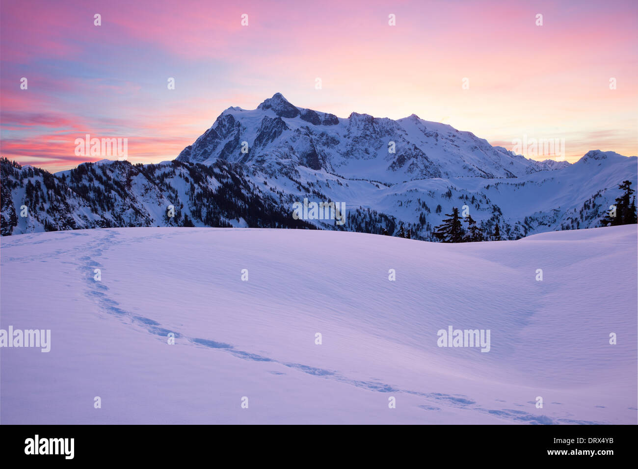 Montagna di neve all'alba Foto Stock
