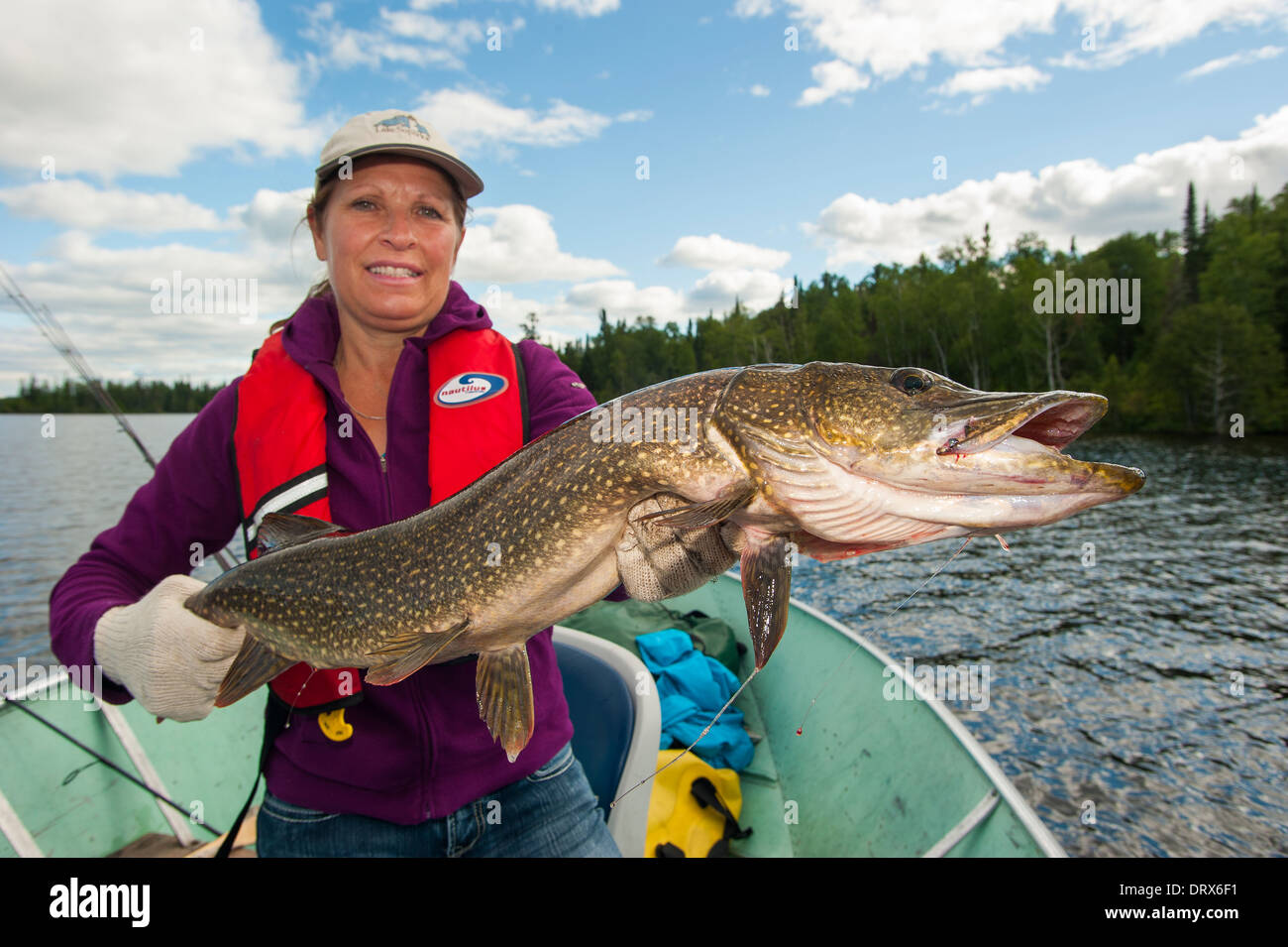 Donna pescatore tenendo in mano un grosso luccio del nord ha catturato da una barca sul lago nel nord Ontario, Canada Foto Stock