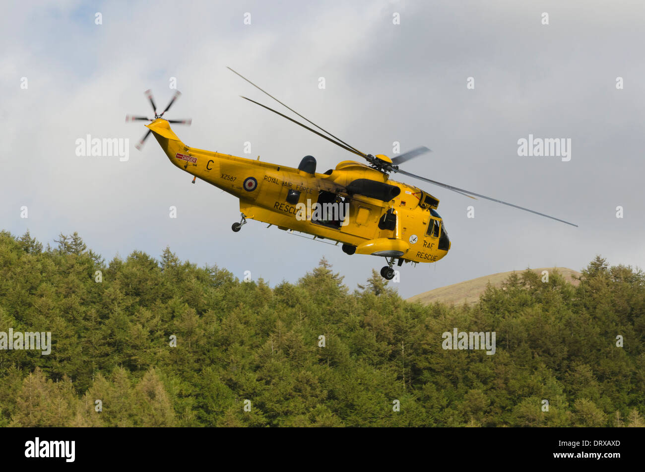 XZ587, un RAF Ricerca e Salvataggio in elicottero volando a bassa quota sopra il bosco di Ennerdale, Lake District, Cumbria, Inghilterra. Foto Stock
