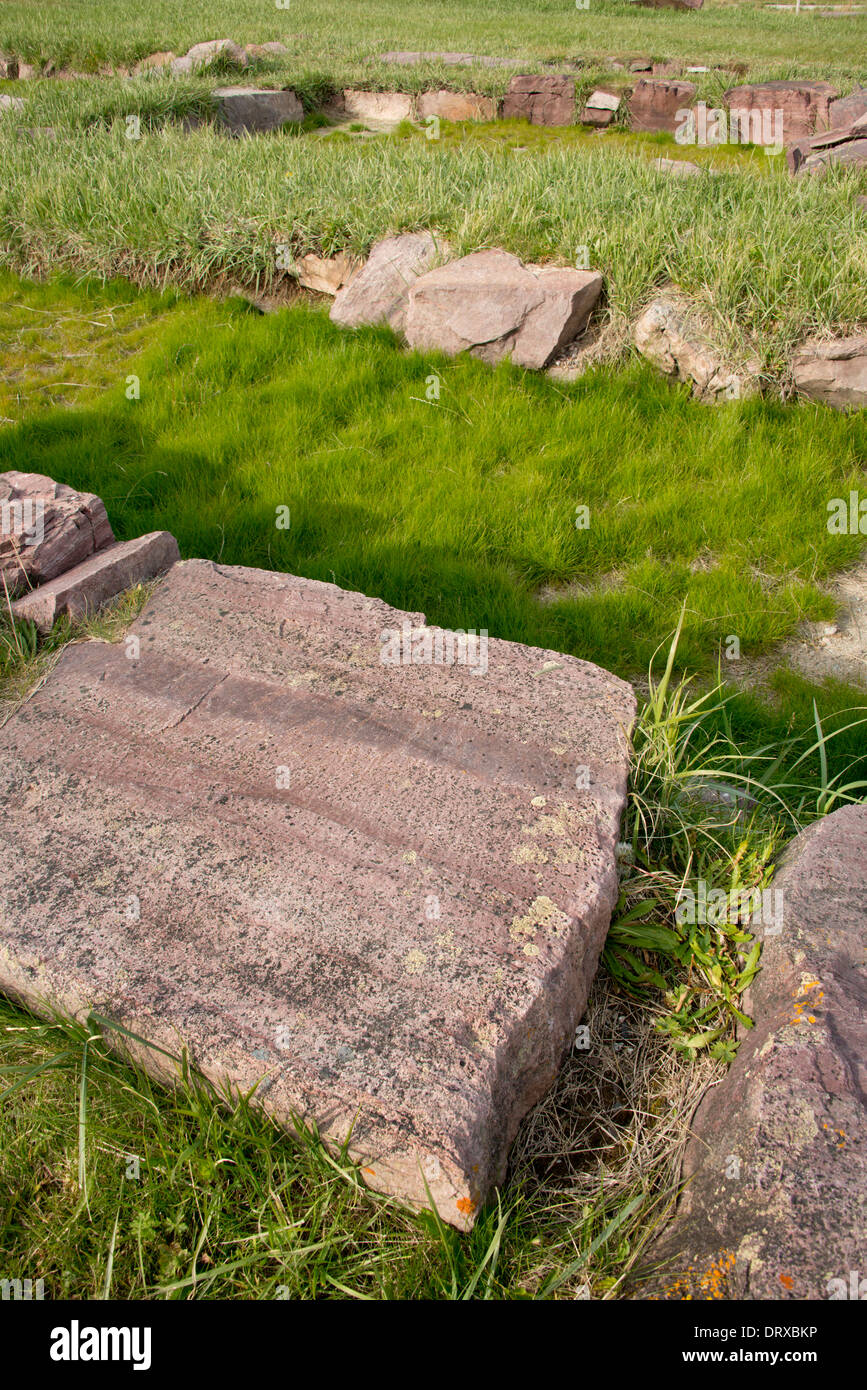 La Groenlandia, Tunulliarfik (aka Erik's Fjord), Itelleq (aka Igaliku) vicino a Brattahlid, rovine di Gardar. Foto Stock