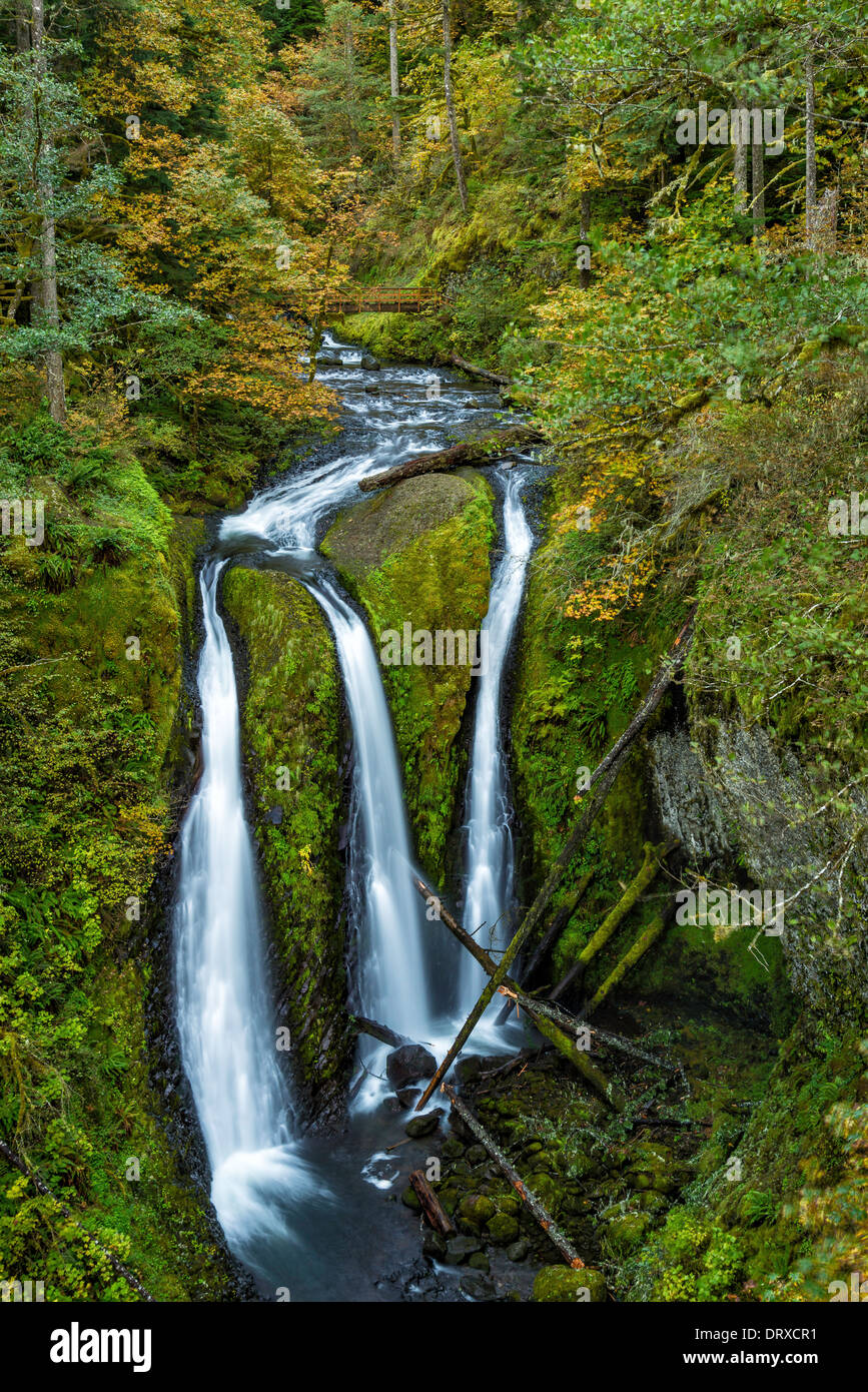 Triple cade, Columbia River Gorge National Scenic Area, Oregon. Foto Stock