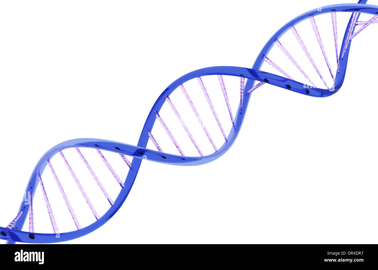 Closeup filamento di DNA realizzato a partire da un materiale di vetro su uno sfondo bianco. Foto Stock