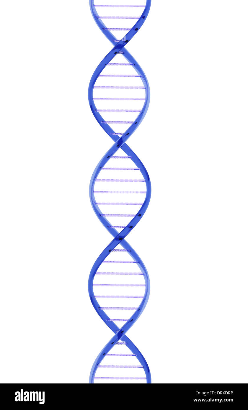 Closeup filamento di DNA realizzato a partire da un materiale di vetro su uno sfondo bianco. Foto Stock