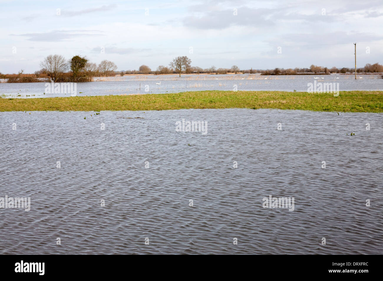 Campi del Somerset livelli allagata a causa di tempeste che hanno colpito il sud ovest nel 2014 Foto Stock