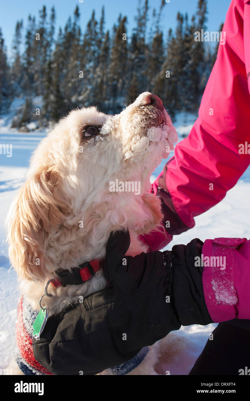 Un cane con il suo proprietario nella neve in inverno. Foto Stock