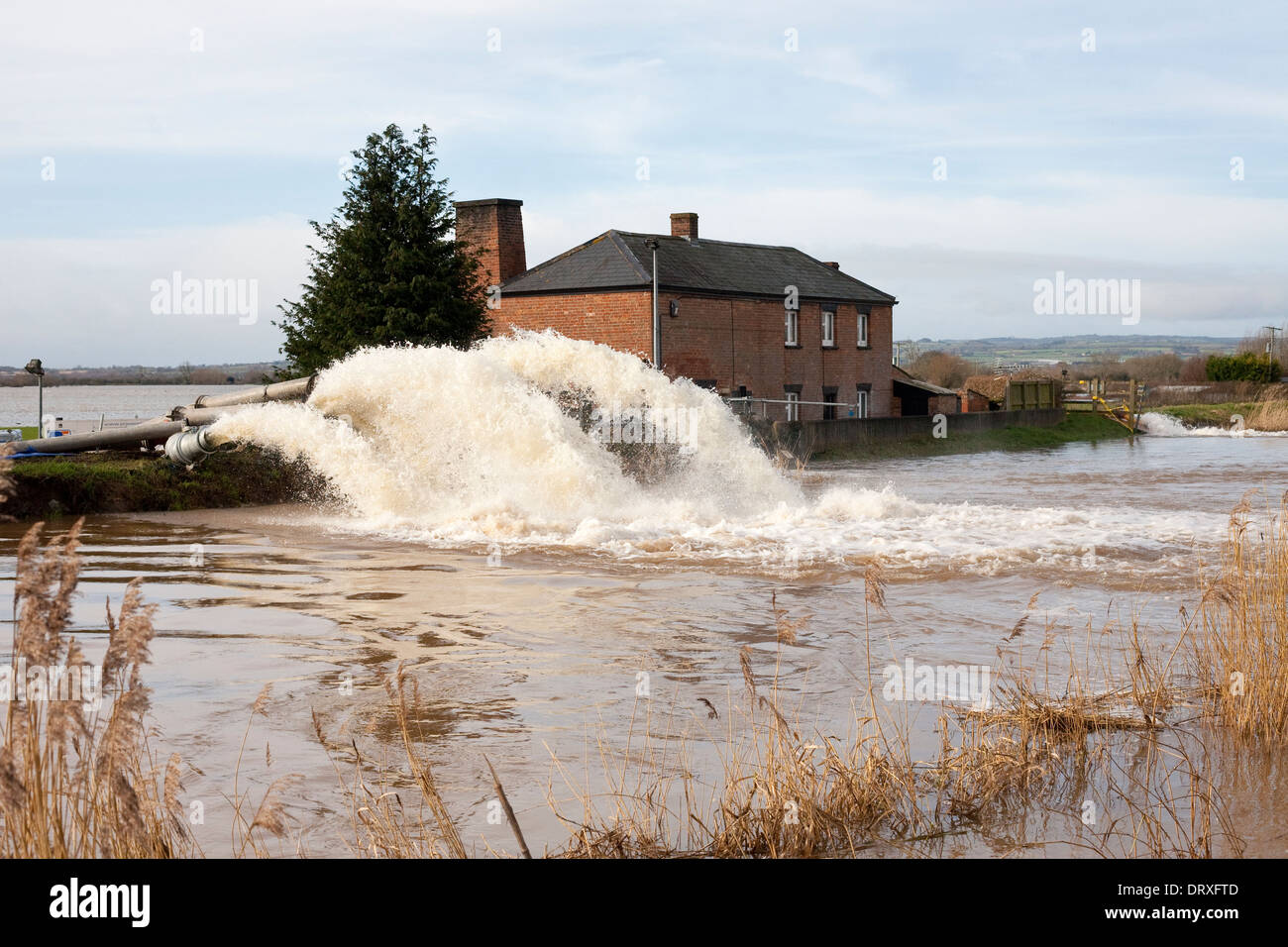Acqua pompata nel fiume Parret per facilitare le inondazioni sui livelli di Somerset Foto Stock