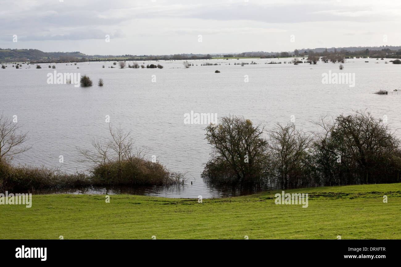 Campi allagati in Somerset livelli a causa di tempeste che hanno colpito il paese occidentale nel 2014 Foto Stock