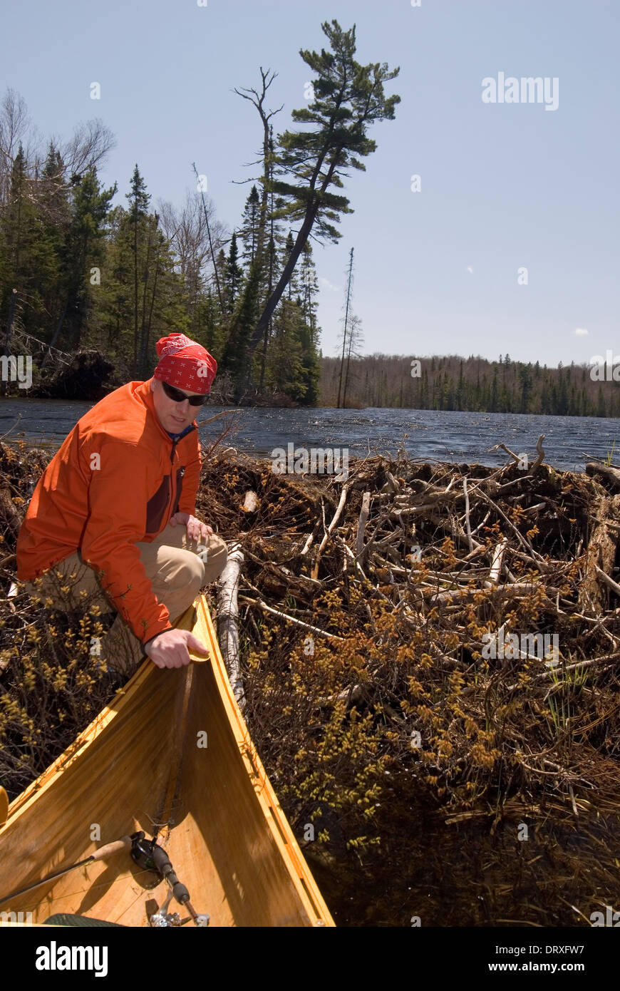 Un uomo portaging una canoa di un lago calmo in Ontario del nord. Foto Stock