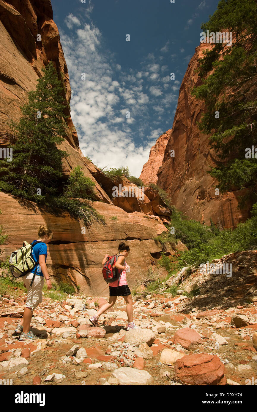 Persone escursionismo su un sentiero natura attraverso il deserto dello Utah. Foto Stock