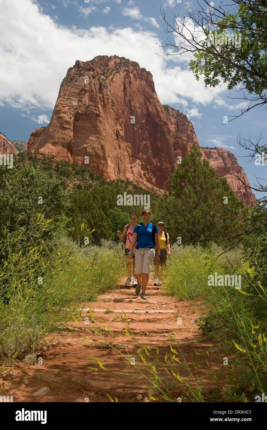 Persone escursionismo su un sentiero natura attraverso il deserto dello Utah. Foto Stock