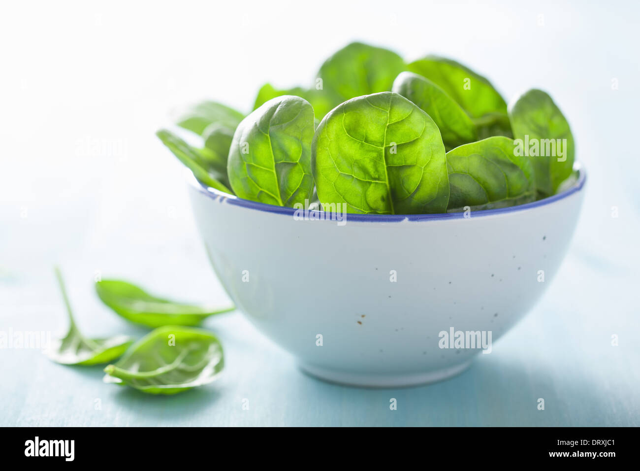 Baby spinaci foglie in vaso Foto Stock