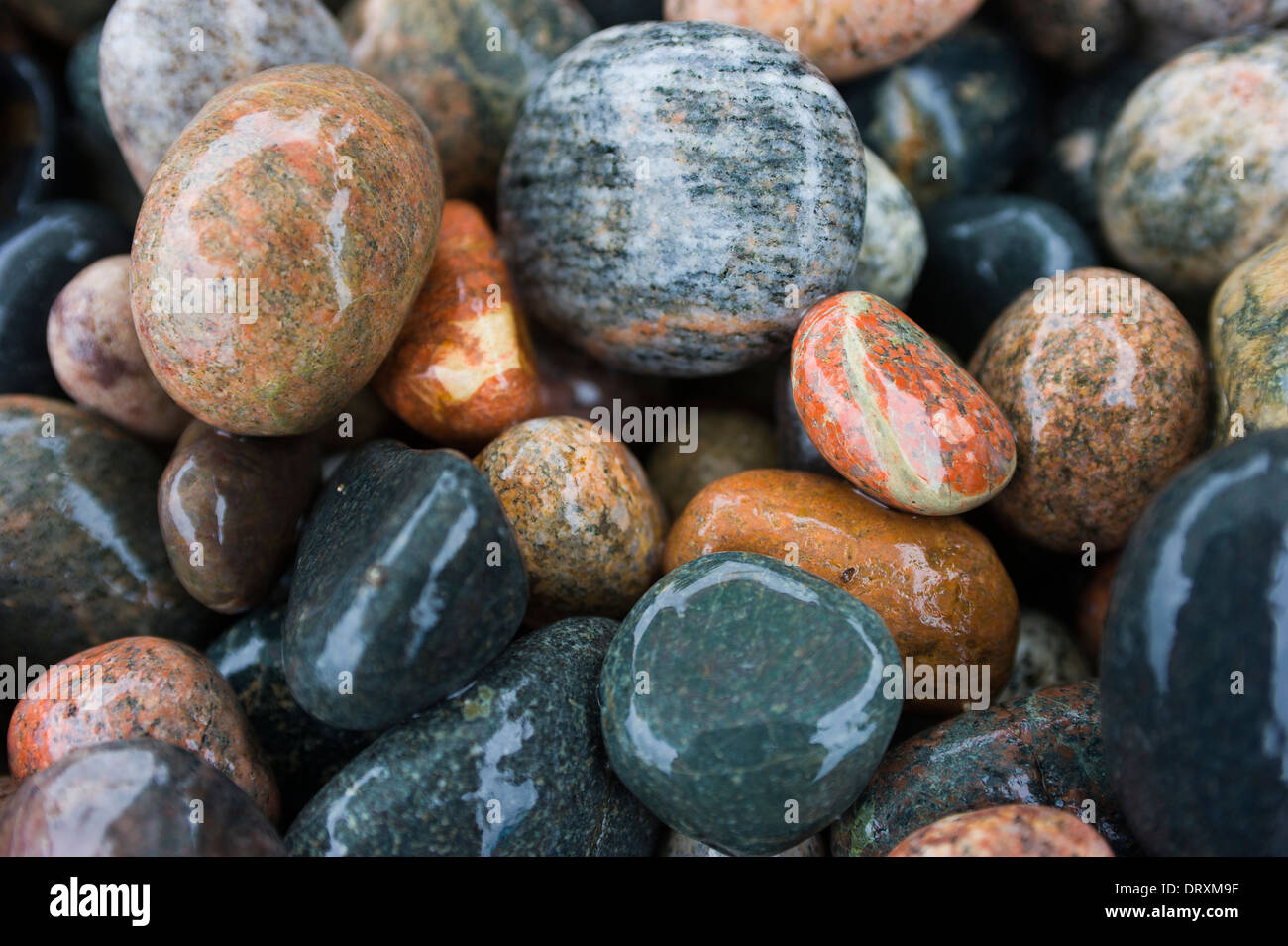 Colorful rocce umide e ciottoli. Foto Stock