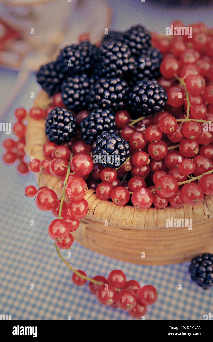 Una piastra con lamponi e ribes Foto Stock