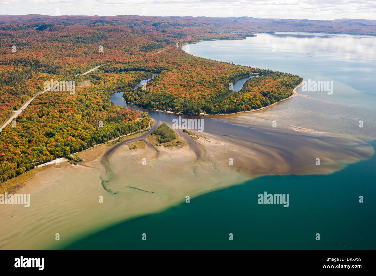 Fotografia aerea della superficie boschiva in Ontario del nord in autunno. Foto Stock