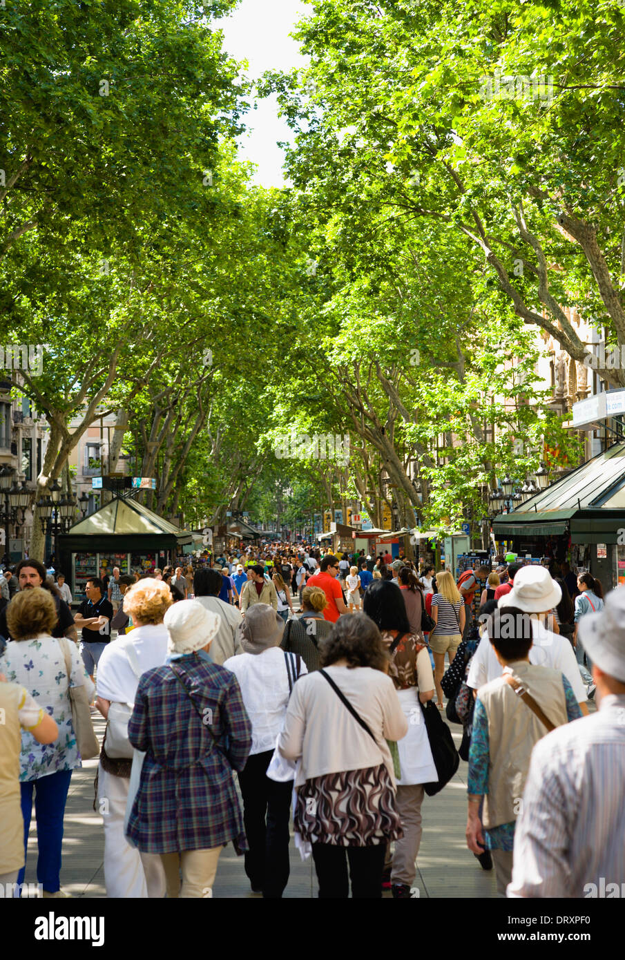 In Spagna, in Catalogna, Barcellona, gente camminare lungo la struttura centrale di passaggio pedonale ombreggiata di La Rambla avenue storico passato si spegne. Foto Stock