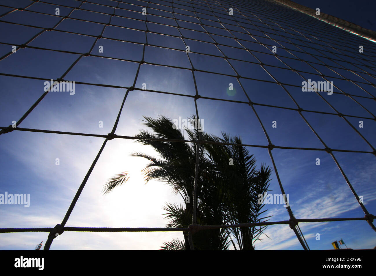 Calcio tropicale ambiente con Palm tree e net Foto Stock