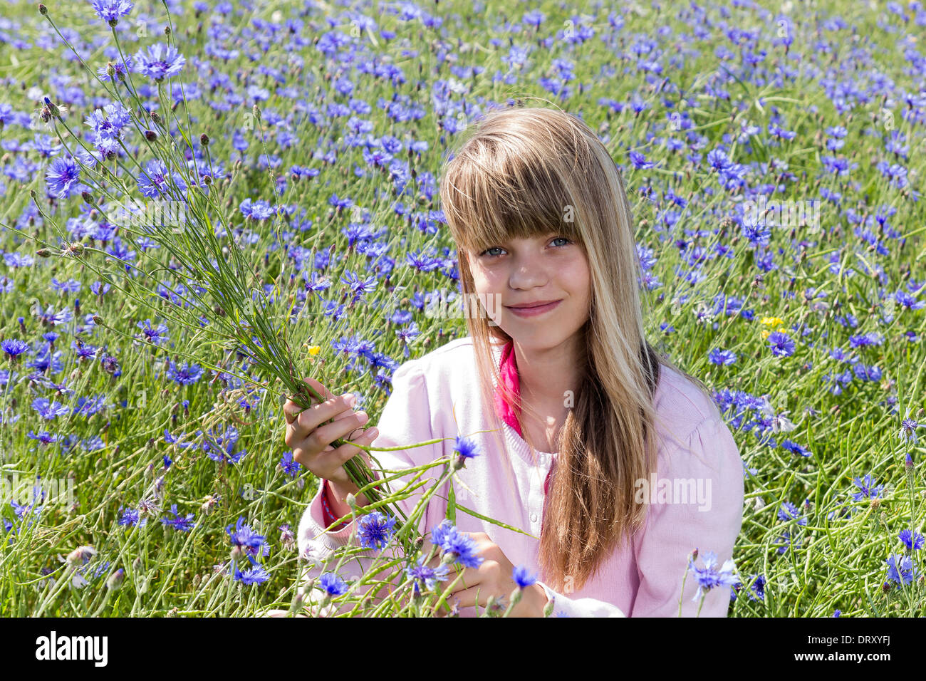 Ragazza nel campo di fiordaliso rendendo bouquet di fiori Foto Stock