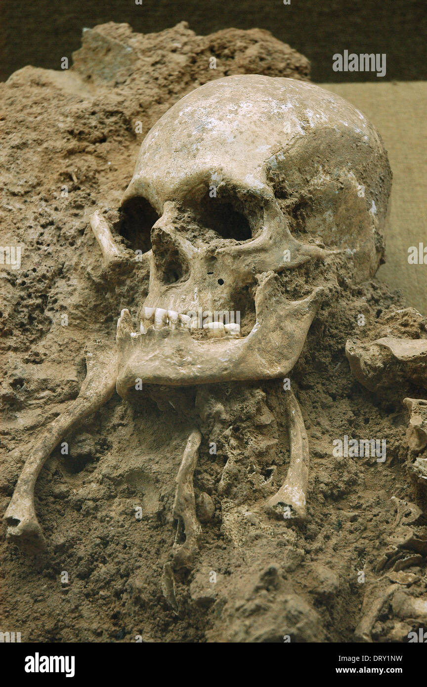 Cranio da 'Grotta Escoural'. Neolitico. Medio-fine. Il museo di archeologia. Montemor-o-Novo. Il Portogallo. Foto Stock