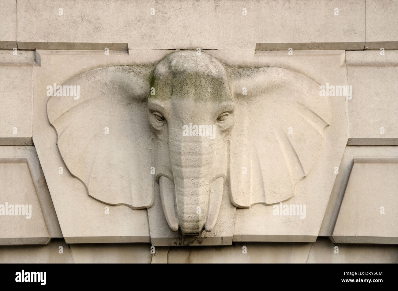 Londra, Inghilterra, Regno Unito. Dettaglio sulla facciata del Sud Africa House (South African Alta commissione), Trafalgar Square. Testa di elefante Foto Stock