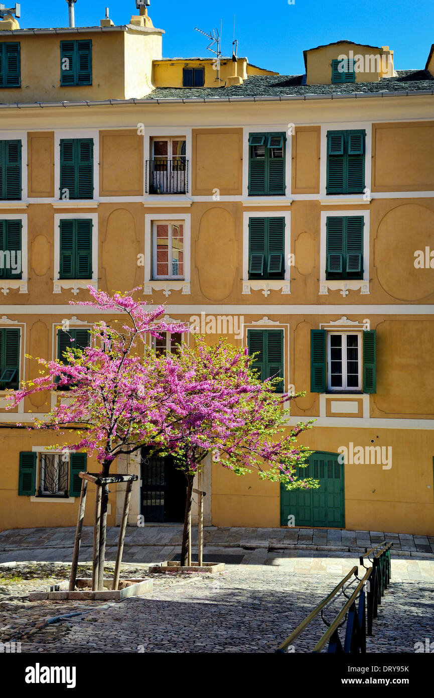 Bastia, Corsica, Francia. Foto Stock