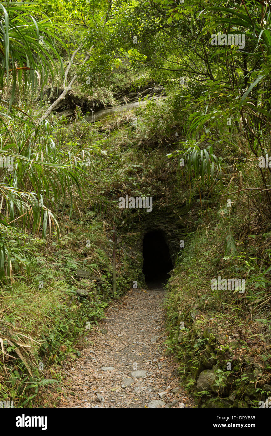 Il percorso che conduce ad un piccolo e buio del tunnel nella roccia, circondata da una rigogliosa e verde vegetazione Foto Stock