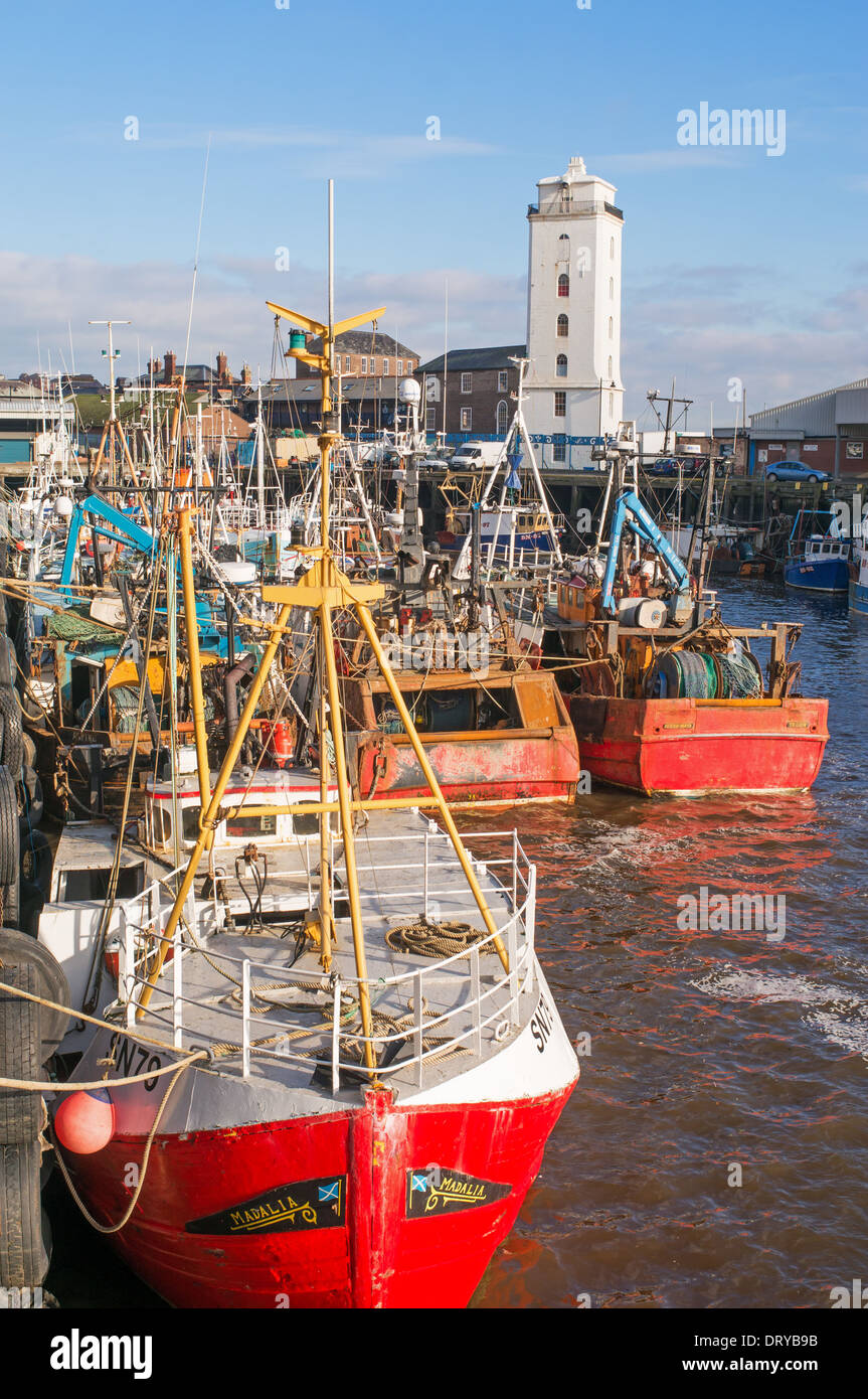 Un gruppo di barche da pesca ormeggiate a North Shields Fish quay North East England Regno Unito Foto Stock