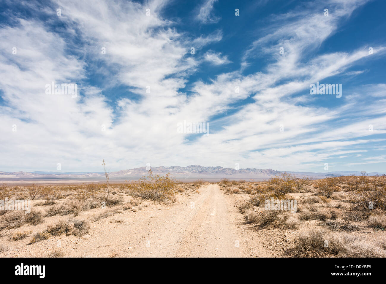 Parco Nazionale della Valle della Morte del paesaggio Foto Stock