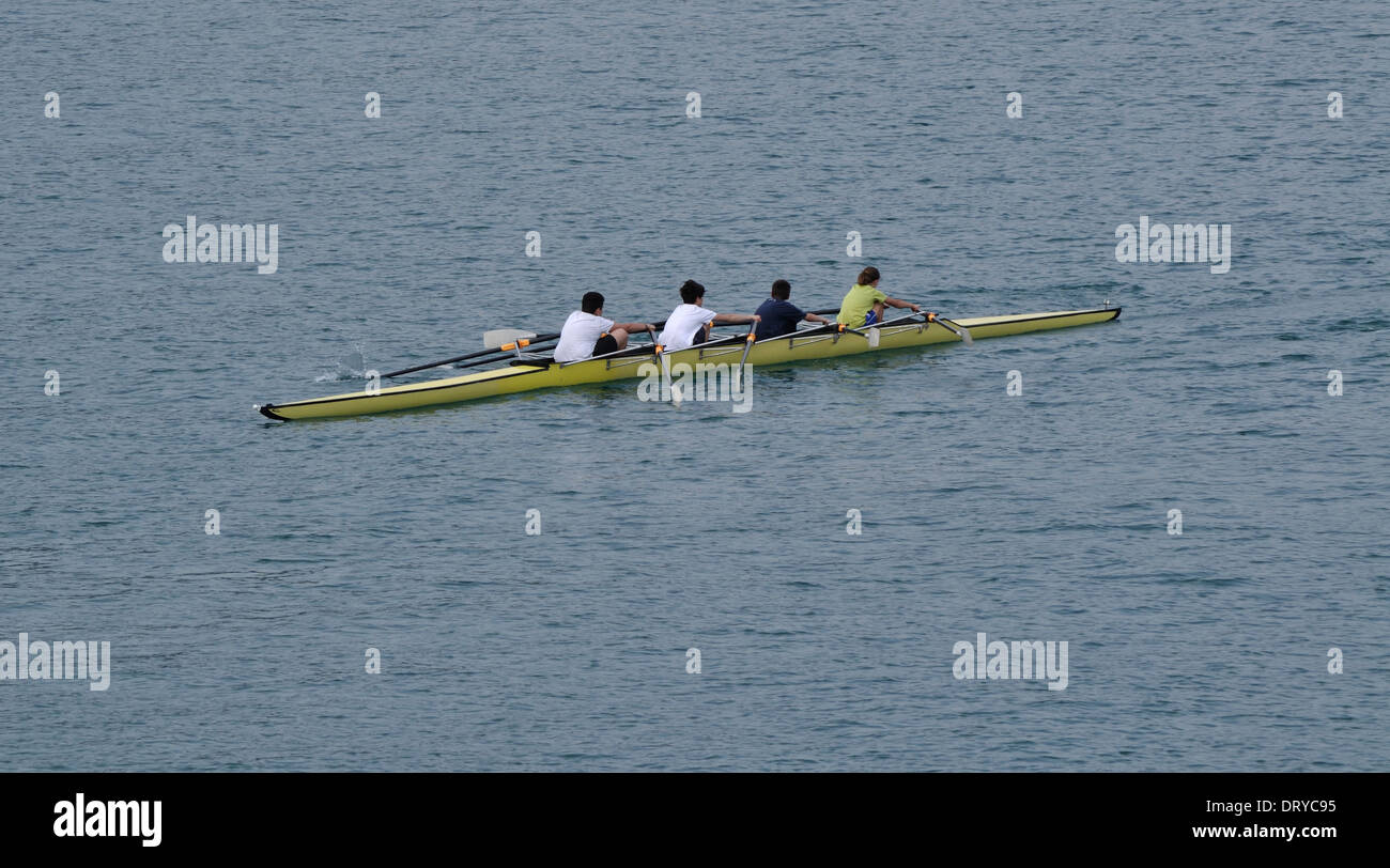 Coxless quattro barche a remi sul Lago di Garda. Foto Stock