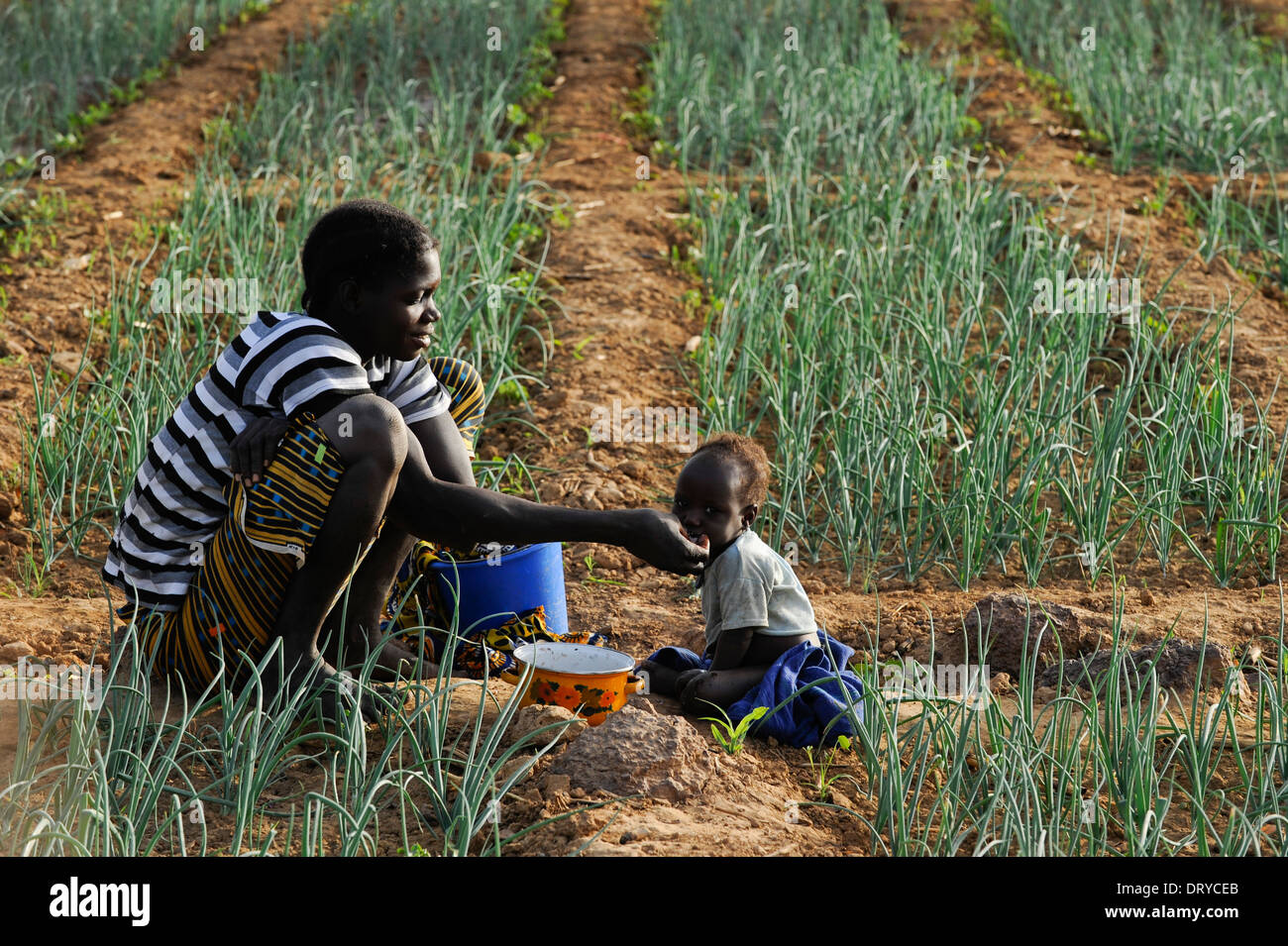 Il Burkina Faso, Bokin, diocesi di Kaya supporta le famiglie con micro-crediti per la coltivazione di ortaggi, madre con bambino in fattoria Foto Stock