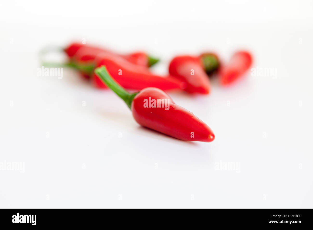 Hot peperoncini rossi-Tabasco peperoni- capsicum frutescens. Foto Stock