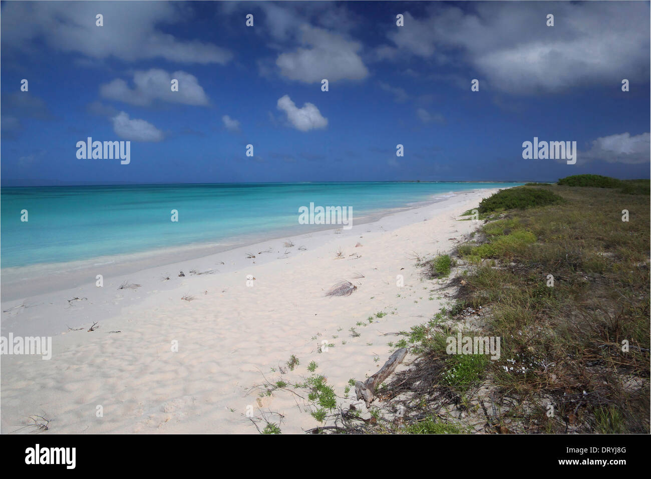 Spiaggia di isola di Crasqui , arcipelago de Los Roques PARCO NAZIONALE., Venezuela Foto Stock