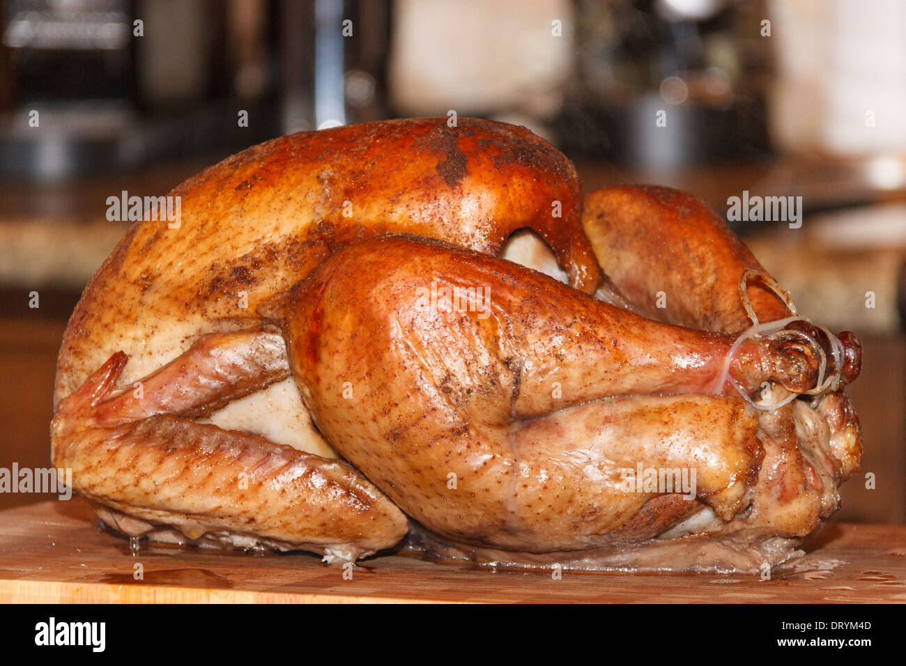 Giorno del Ringraziamento turchia pronto a carve per la cena a Spring, Texas. Foto Stock