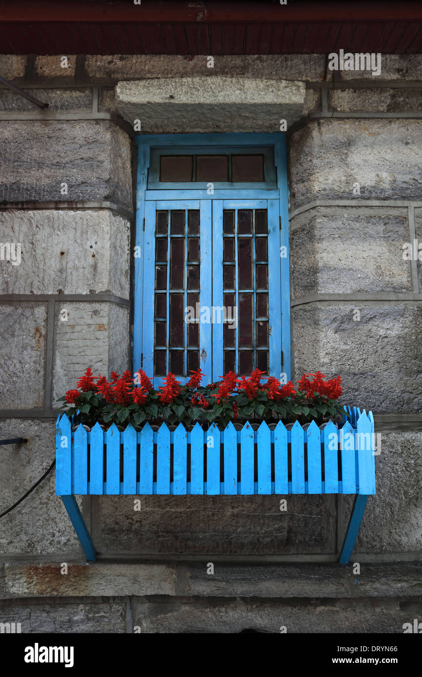 Finestra di vecchio e fiori Foto Stock
