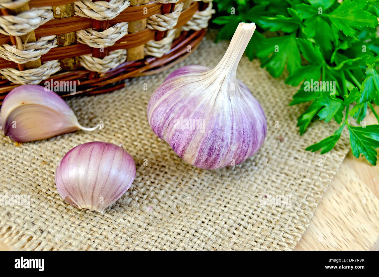 Testa completa e due spicchi di aglio, un cesto di vimini, un mazzetto di prezzemolo verde su una tavola di legno igienico e tela Foto Stock
