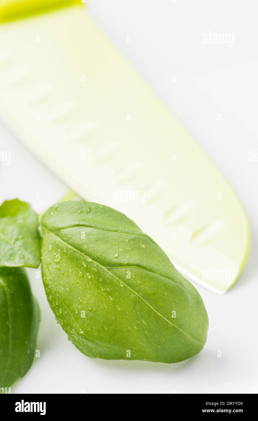 Primo piano di foglie di basilico fresco con goccioline di acqua e un coltello verde Foto Stock