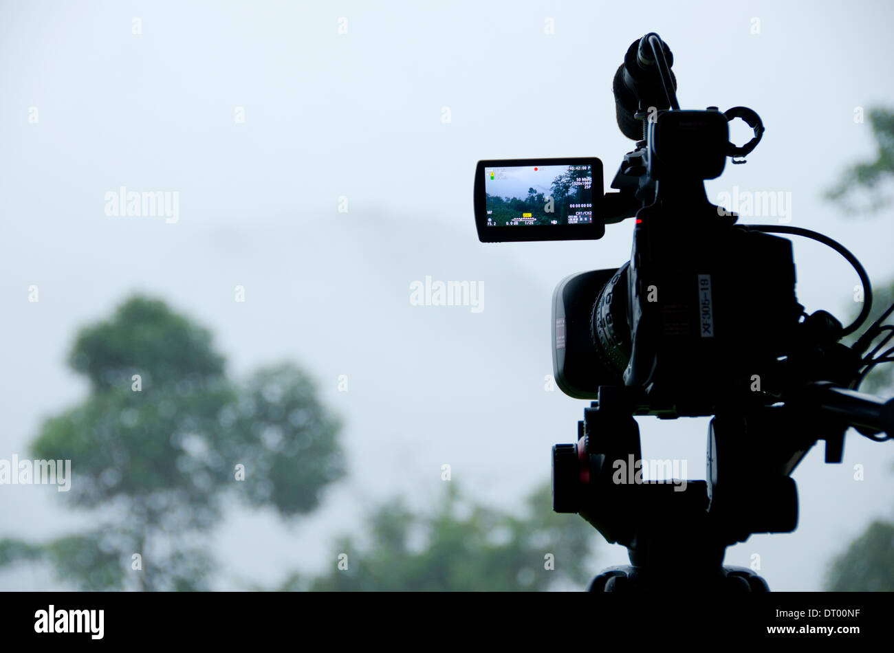 Il video dello schermo della fotocamera per catturare la nebbia di Danum Valley, Sabah, Malaysia orientale, Borneo Foto Stock