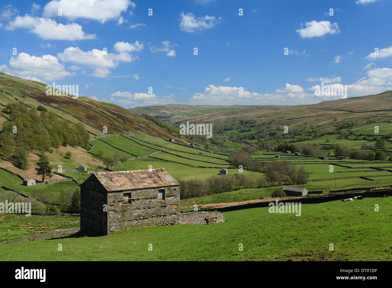 Thwaite fienile e prati Foto Stock