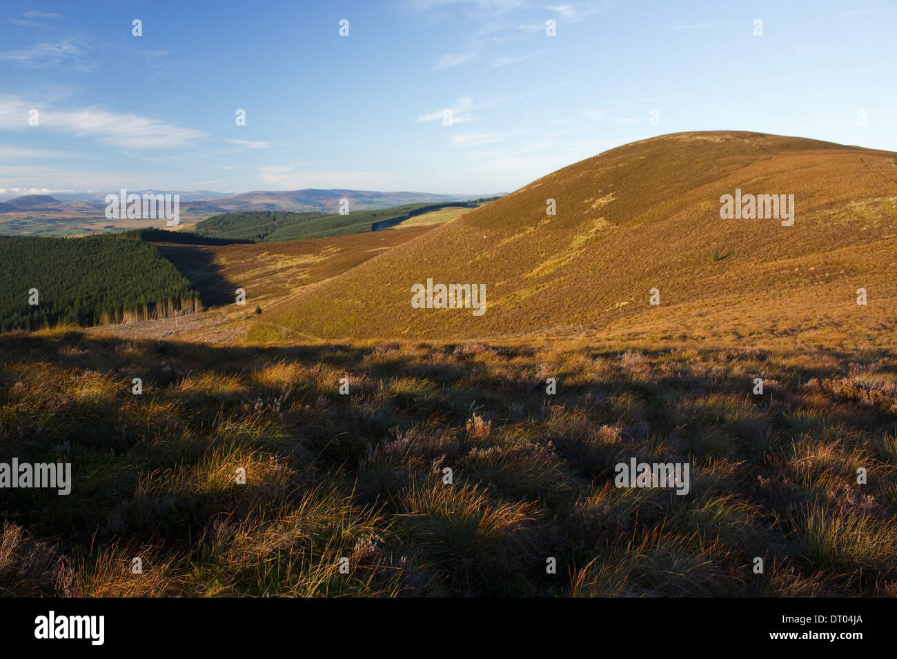 Foel Goch, una piccola collina in Berwyn mountain range del Galles, sopra la valle del Cwm Hirnant Foto Stock