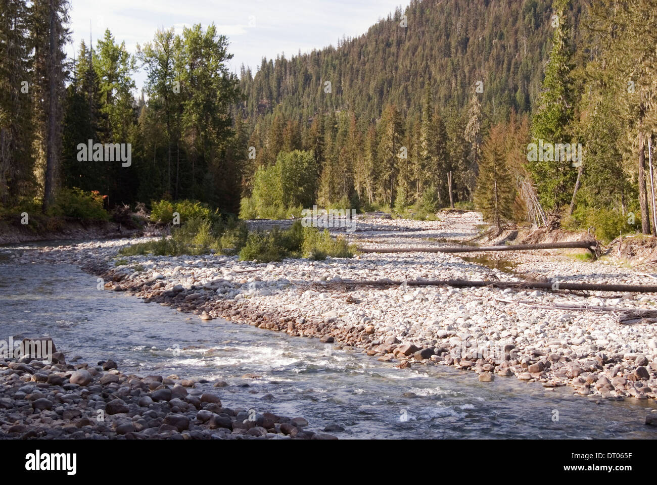 Cle Elum fiume e la foresta di pini, ai piedi dei monti Cascade, Okanogan-Wenatchee National Forest, WA, Stati Uniti d'America Foto Stock