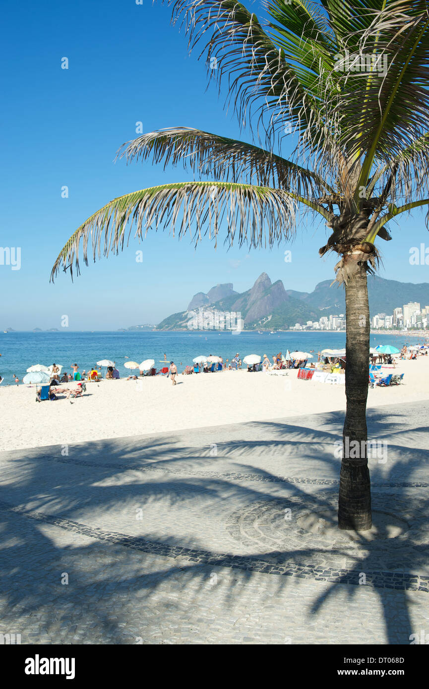 La spiaggia di Ipanema Rio de Janeiro vista con Palm tree a Arpoador Foto Stock