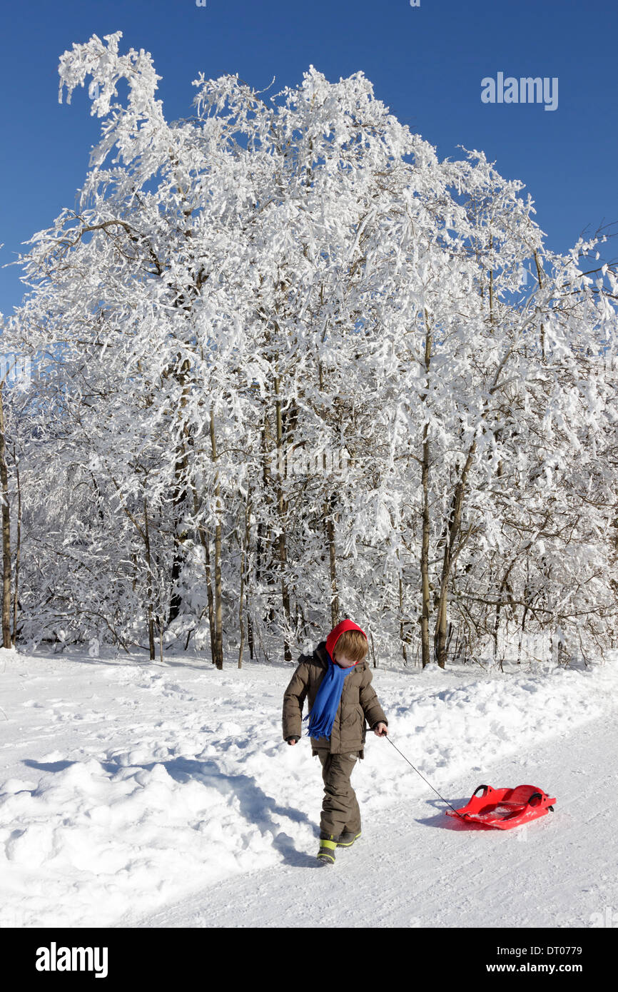 Ragazzo giovane tirando il suo sled, Kahler Asten, Sauerland, Renania settentrionale-Vestfalia, Germania Foto Stock