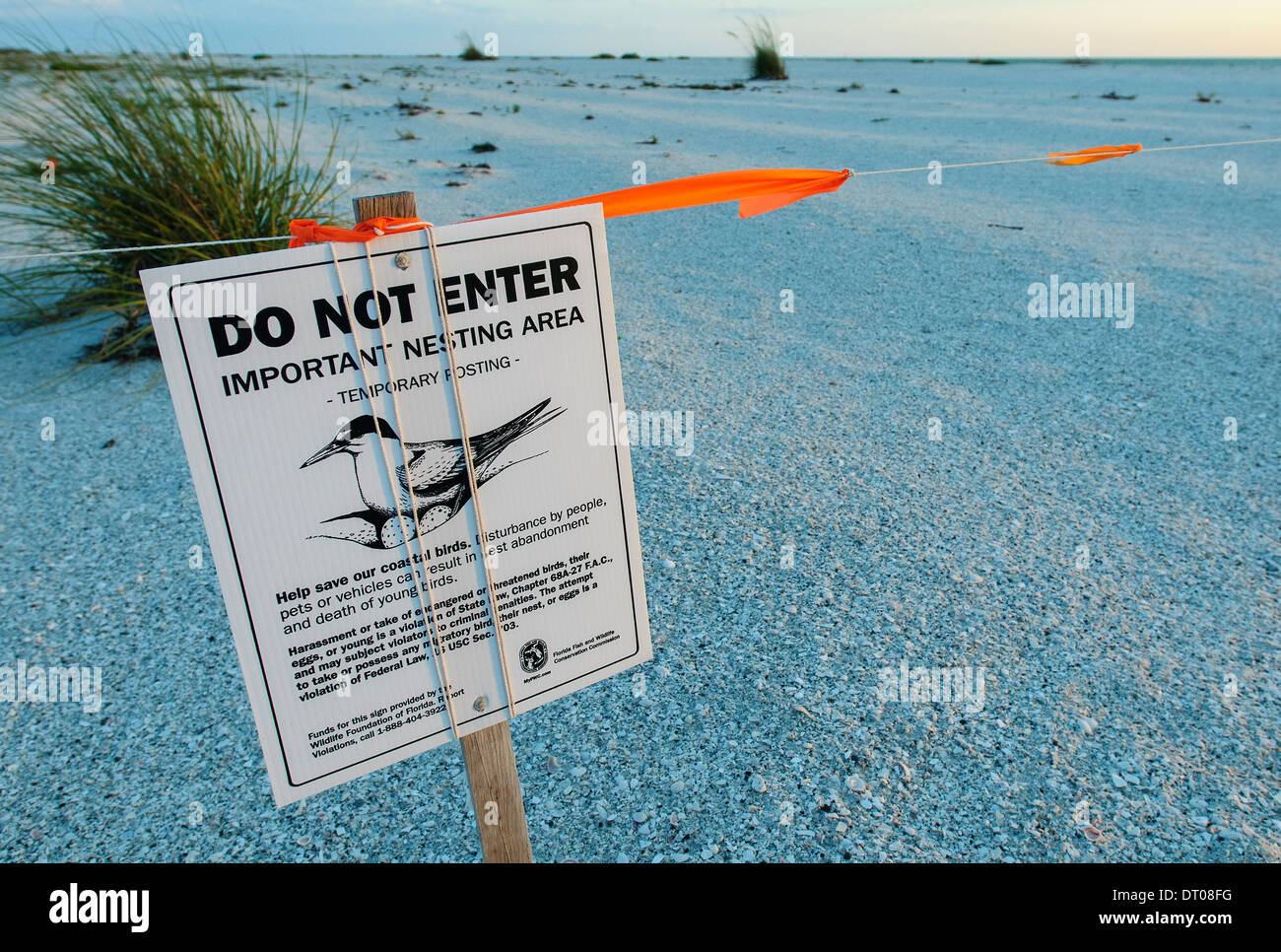 Un segno di avvertimento per le persone restano al di fuori delle zone di spiaggia dove gli uccelli nidificanti a Gasparilla Island, South West Florida. Foto Stock