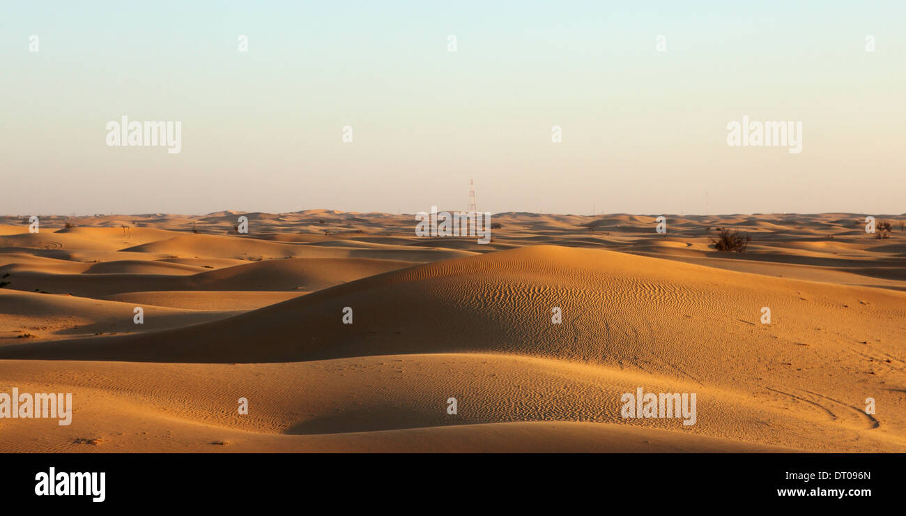 Dune del deserto di Abu Dhabi, negli Emirati Arabi Uniti. Foto Stock