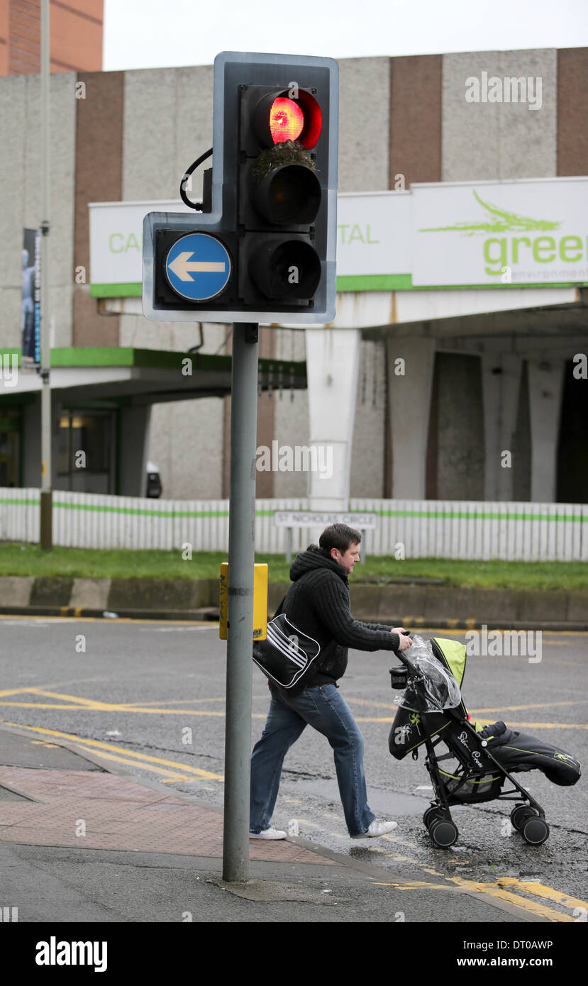 Leicester, Regno Unito . 05 feb 2014. Utilizzando il calore dalla luce rossa lampadina e ottenere un rifugio dalla cappa su un semaforo, in corrispondenza di una strada trafficata della giunzione di Leicester, due uccelli, [credeva di essere tordi] sono allevati con successo tre pulcini. I pulcini hanno cominciato a battere le ali e sono quasi pronti a lasciare il loro nido affacciato su sei corsie di traffico sopra la città della tangenziale. Credito: Joanne Roberts/Alamy Live News Foto Stock