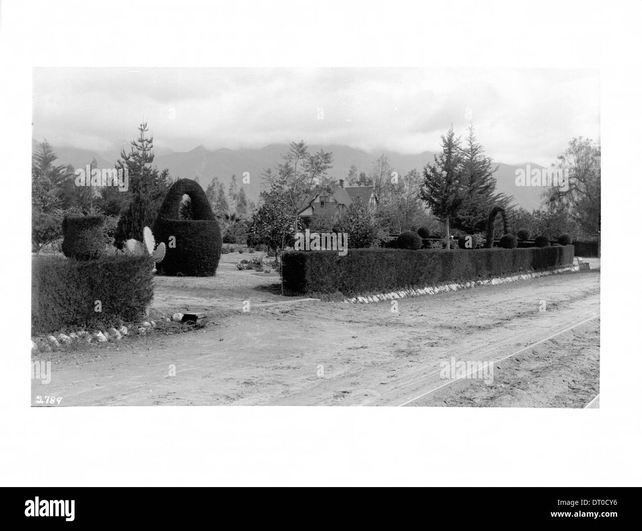 Una fotografia di una siepe di cipresso e cesto topiario nel giardino italiano di una residenza Pasadena, scattata intorno al 1920. Foto Stock