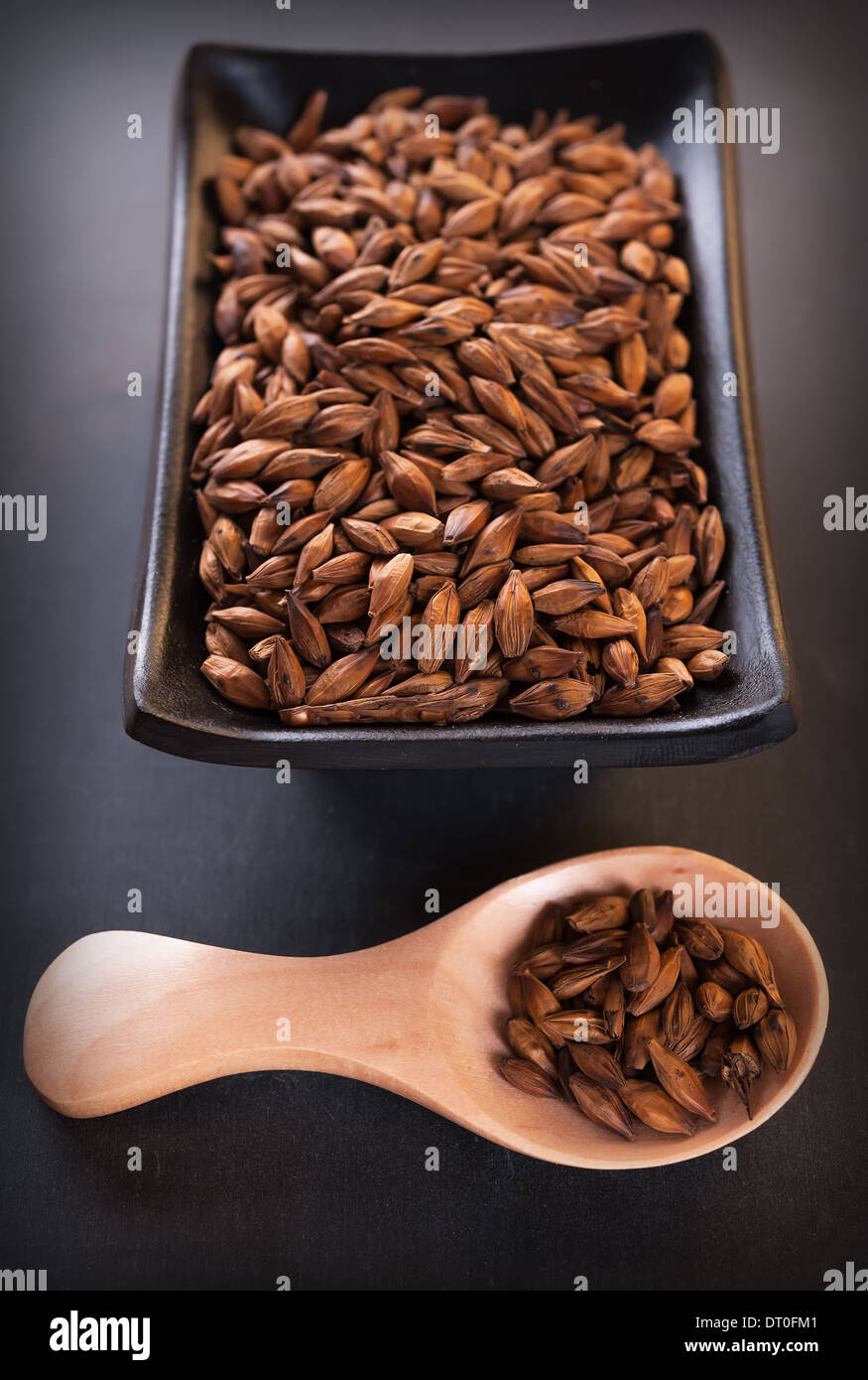 Semi Senna obtusifolia, Cinese Senna o sicklepod Foto Stock